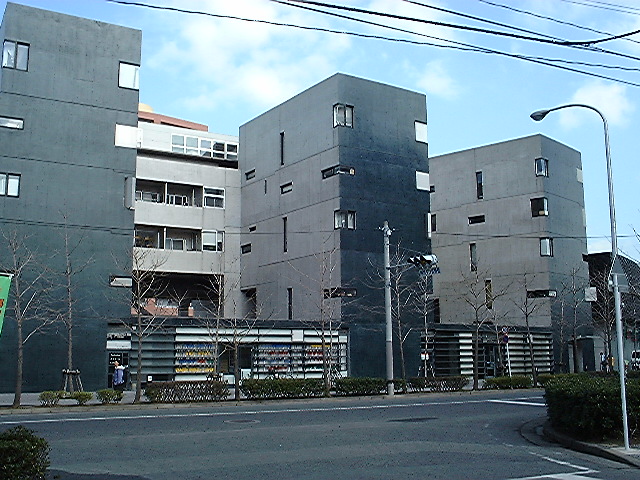 steven holl02.jpg